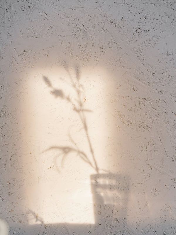 Person feeling energized and balanced after a yoga session, sunlight streaming in.